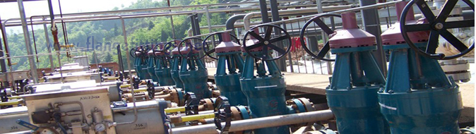 TongKang Flanges and Pipe Fittings
