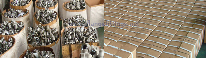 TongKang Flanges and Pipe Fittings