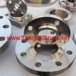 forged flange2