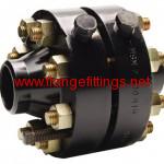 orifice flange2